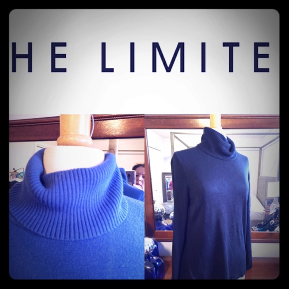 The Limited Sweaters - *TWO* The Limited turtleneck sweaters!